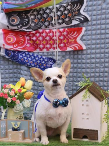 20230525モナちゃん